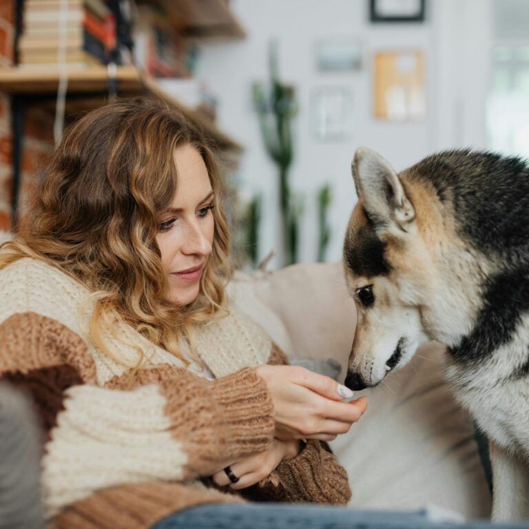Bringing pets to Italy – dog and cat travel requirements